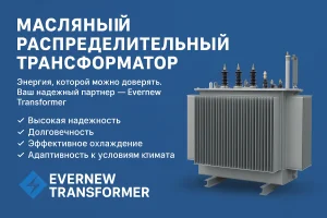 Trasformatore di distribuzione dell'olio di Evernew Transformer per Russia, Kazakistan, Bielorussia ed Europa - fornitore affidabile della fabbrica